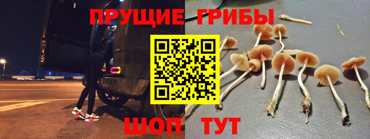 Псилоцибиновые грибы мицелий  Галлюциногенные грибы ЛСД  Вход с VPN  Урюпинск 